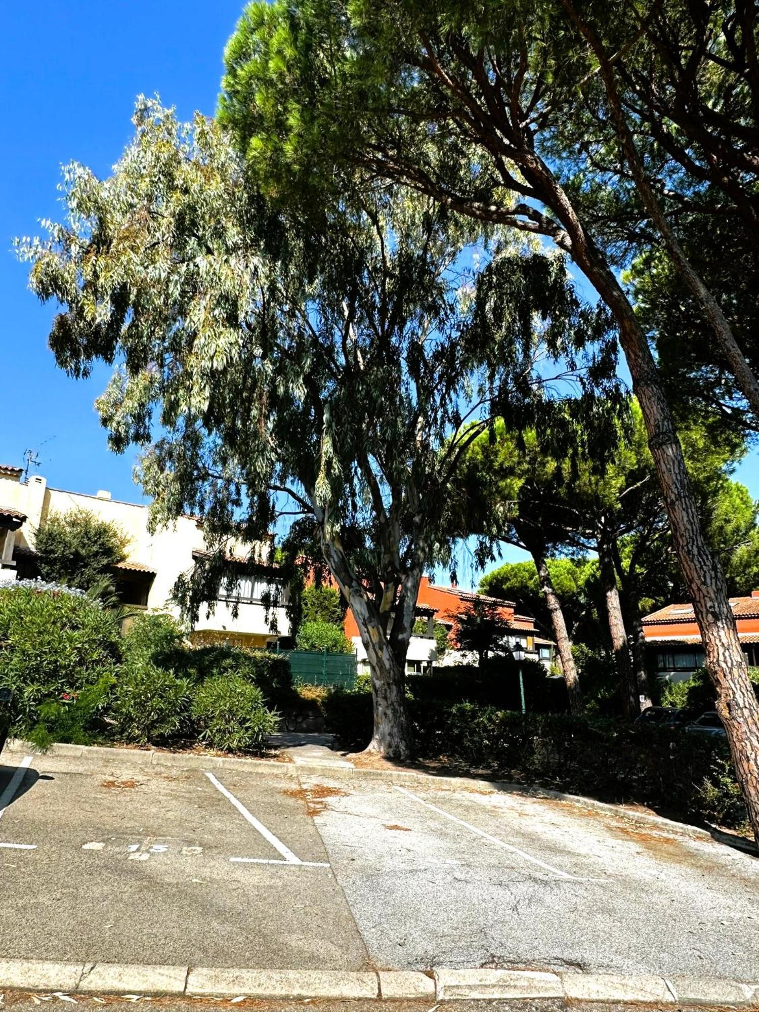 Frejus - Appartement 4 Personnes - Piscine Exteriér fotografie